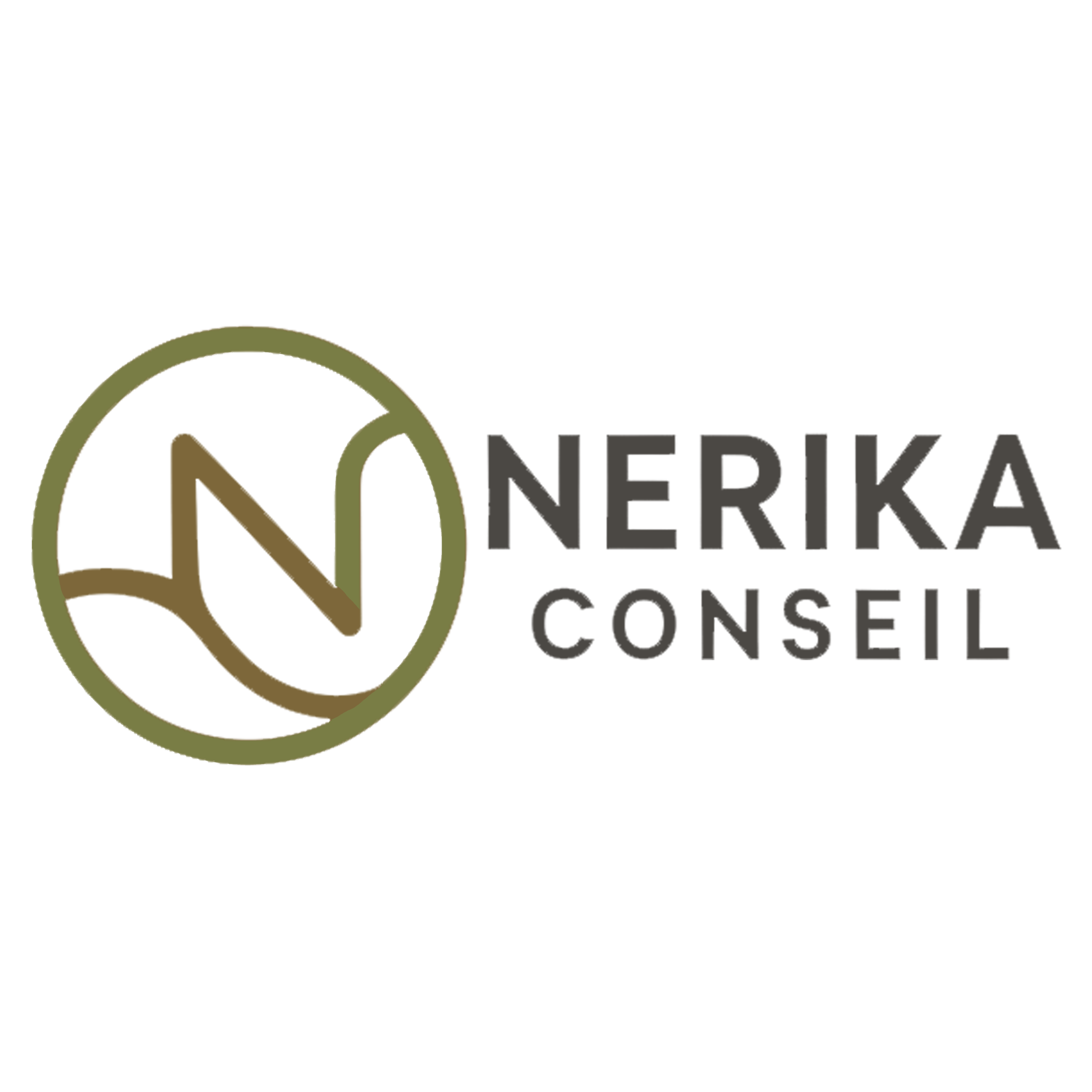 NERIKA CONSEIL
